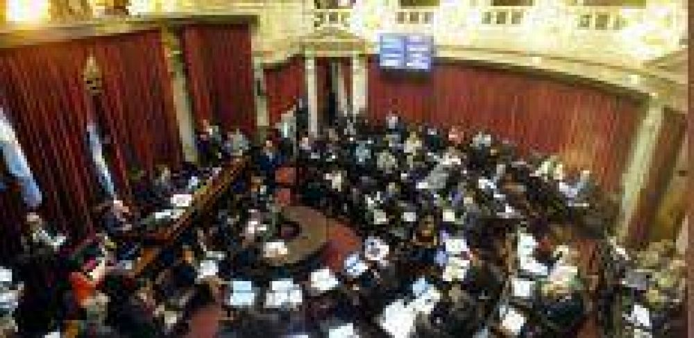 Pinedo espera el dictamen el martes y �sin nuevas modificaciones�
