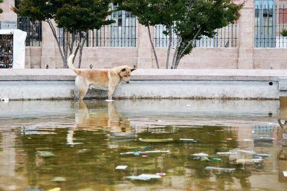 Pasividad del Municipio ante el alerta por el dengue