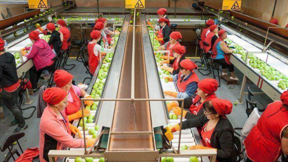 El gremio de la fruta define su pr�xima conducci�n