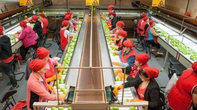 El gremio de la fruta define su pr�xima conducci�n