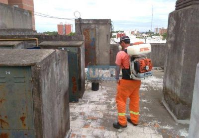 Ya son 143 los casos de dengue en Entre R�os y esperan el pico