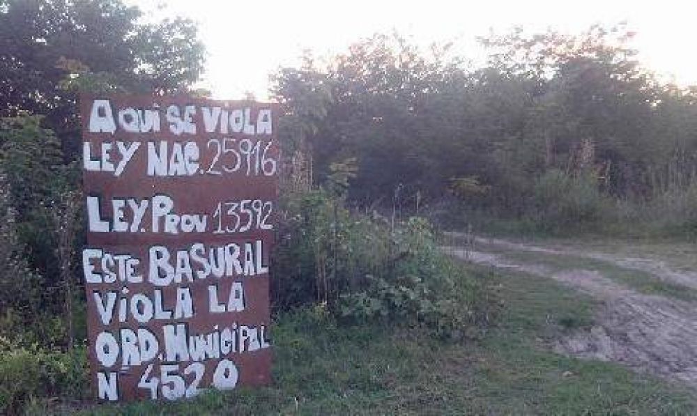 Tras denuncias de los vecinos, comenzaron a limpiar un basural clandestino en Olivera