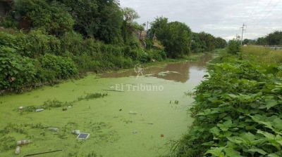 Canal Oeste: agua estancada, basura y abandono