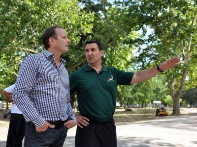 Mejoran la iluminaci�n de las calles con el recorte de �rboles y ramas
