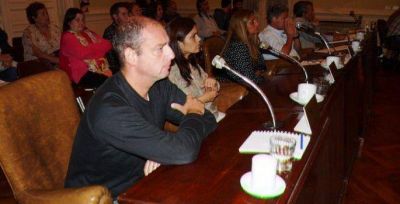 Aumento en las tarifas de luz: Fueron rechazados los proyectos del Bloque del Fpv en Sesi�n Extraordinaria