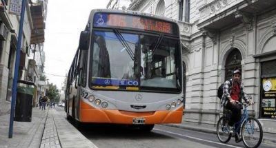 El 24 de marzo el servicio p�blico colectivos ser� gratuito