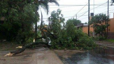 Telecom repar� en Paran� m�s de 600 postes y 70 cables afectados por la tormenta del 19 de febrero 
