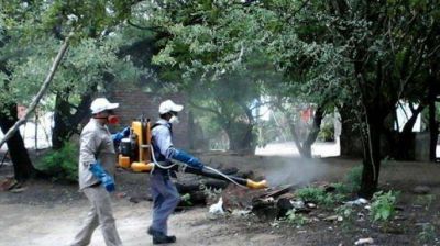 Son 57 los casos de dengue en Santiago, 48 aut�ctonos