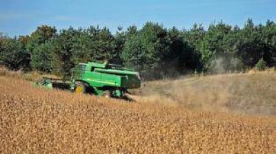 Se reduce el �rea de siembra de soja en el NOA y crece la del ma�z
