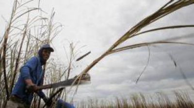 Las econom�as regionales muestran signos de mejor�a