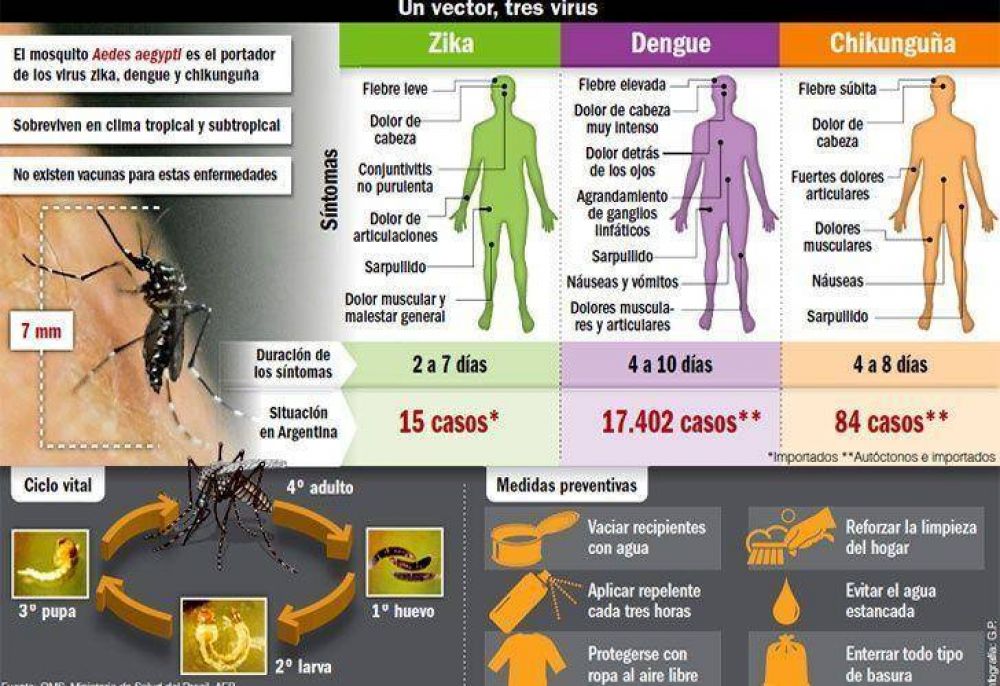 El dengue llega a su pico y piden reforzar la prevenci�n