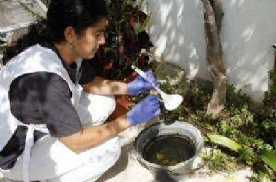 Contin�an las fumigaciones y comienza un nuevo monitoreo a�dico