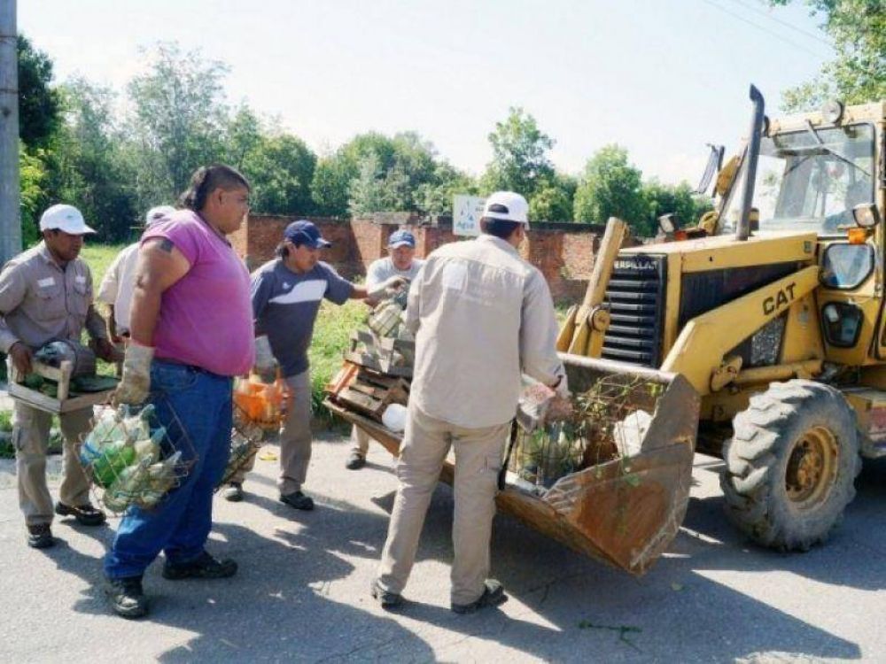 PLANIFICACI�N TEMPRANA Y ACCI�N EN TERRENO, CLAVES PARA CONTROLAR EL DENGUE EN JUJUY