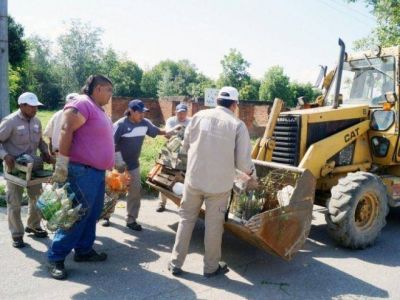 PLANIFICACI�N TEMPRANA Y ACCI�N EN TERRENO, CLAVES PARA CONTROLAR EL DENGUE EN JUJUY