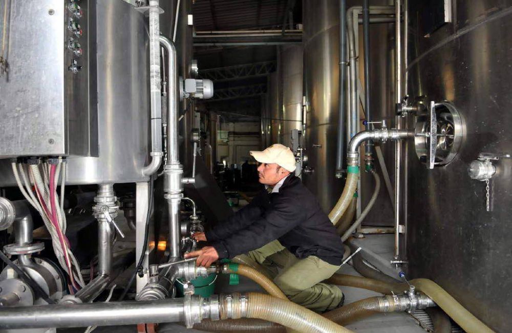 Mosto: prev�n ca�da del 40% de la producci�n