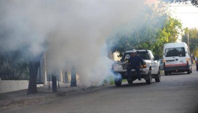 Dengue: fumigar�n en 60 barrios de C�rdoba