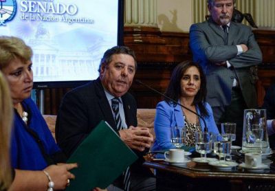 De Angeli presidir� la comisi�n de Agricultura en el Senado