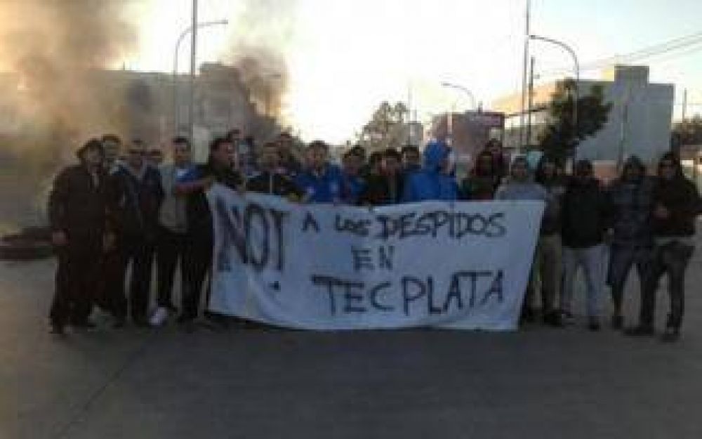 Despiden a trabajadores de la terminal de contenedores TecPlata