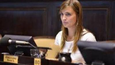 El FpV va por el Boleto Estudiantil Gratuito