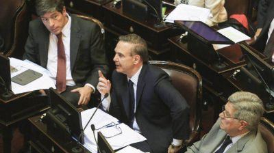 Miguel �ngel Pichetto y su voto afirmativo: 