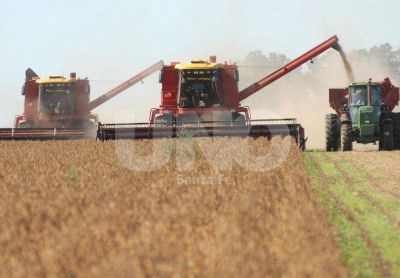La baja de las retenciones: qui�n gana y qui�n pierde