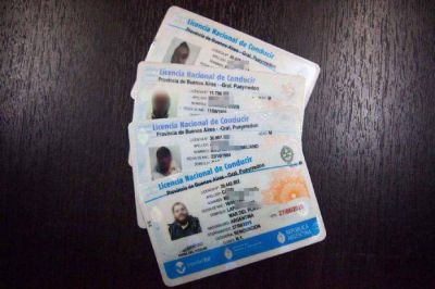 Licencias de conducir adulteradas: ya se han regularizado cerca de 3.000 casos