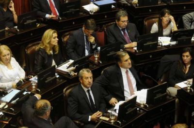 Rozas dijo que votar a favor de la deuda �no es traici�n a la coherencia pol�tica�