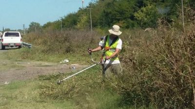 Trabajos de limpieza en plazas y banquinas