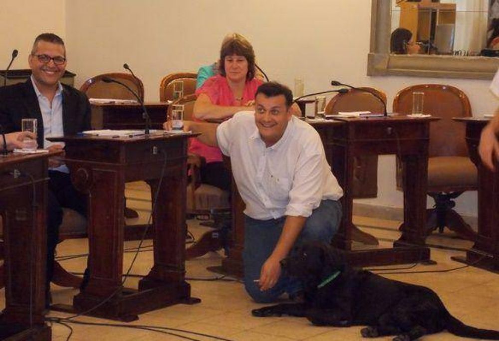 Concejal propone tercerizar el cobro de las multas en Santa Rosa