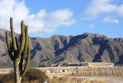 Cafayate tendr�a un super�vit de casi dos millones de pesos
