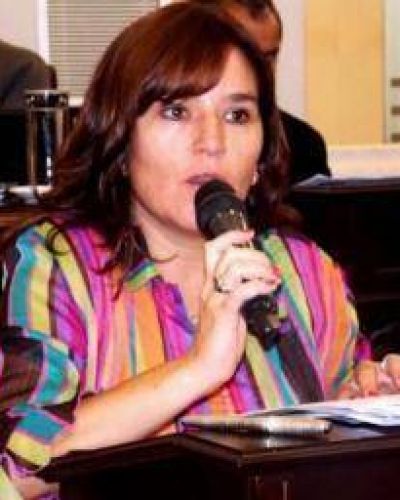 Brizuela y Doria acusa al gobierno riojano por las boletas de luz