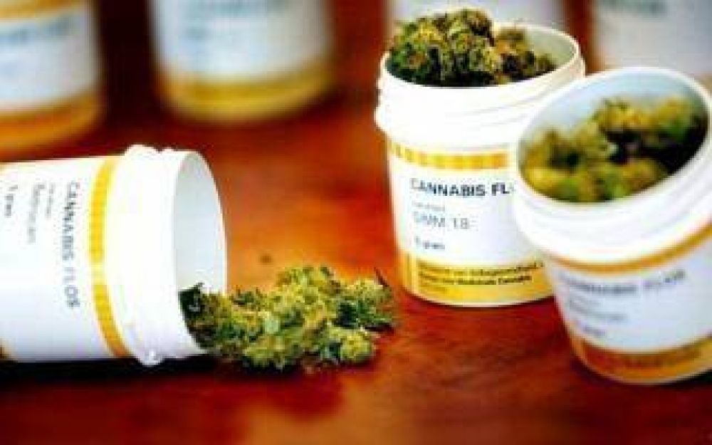 La Justicia orden a IOMA cubrir un tratamiento con aceite de cannabis