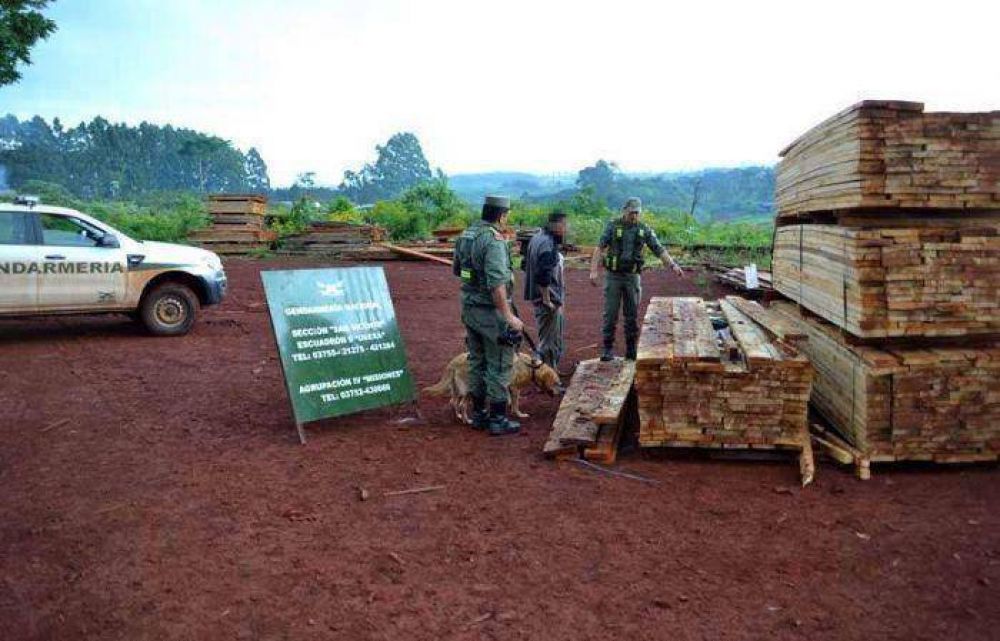 Empresario tandilense involucrado en el secuestro de m�s de 2800 kilos de marihuana