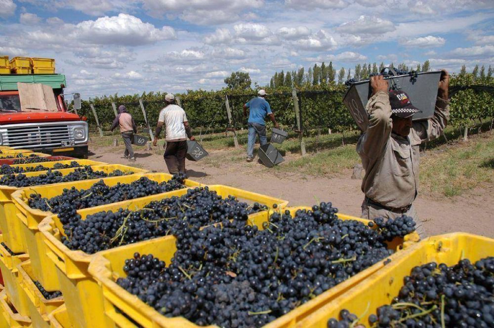 Trabajadores vitivincolas acordaran aumento del 30%