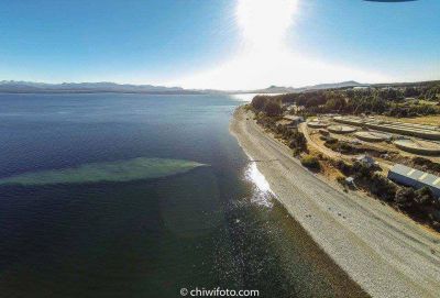 Preocupaci�n por una nueva mancha en el lago