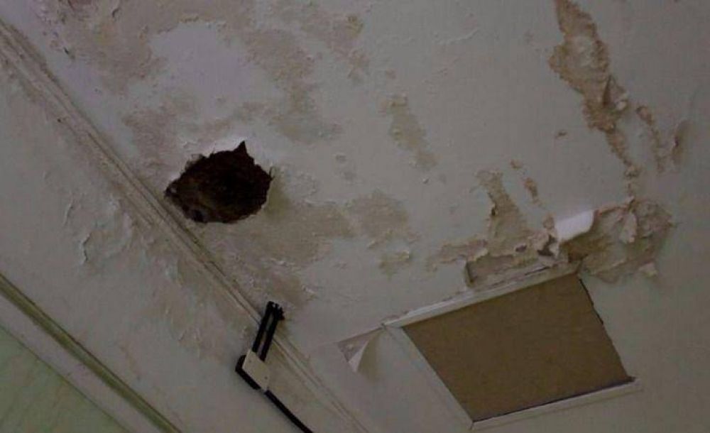 Con el arte se protesta: el IPA reclama por validez de t�tulos e infraestructura