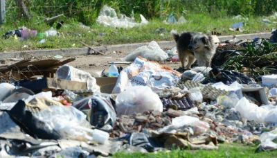 Dengue: los casos ya duplican la mayor epidemia de C�rdoba