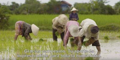 El Papa pide en su �ltimo v�deo que los agricultores reciban una remuneraci�n justa por su precioso trabajo