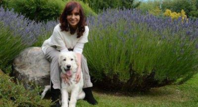 Cristina aprovecha el esc�ndalo de Panam� y le refriega a Macri que nunca le encontraron una cuenta
