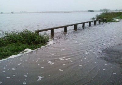 El senador Michlig solicita que se declare la emergencia agropecuaria