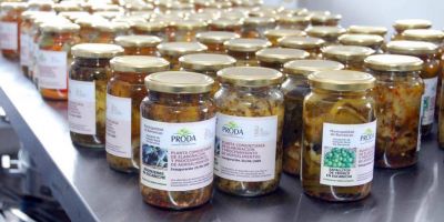 Presentar�n l�nea de cr�ditos para elaboradores de alimentos neuquinos