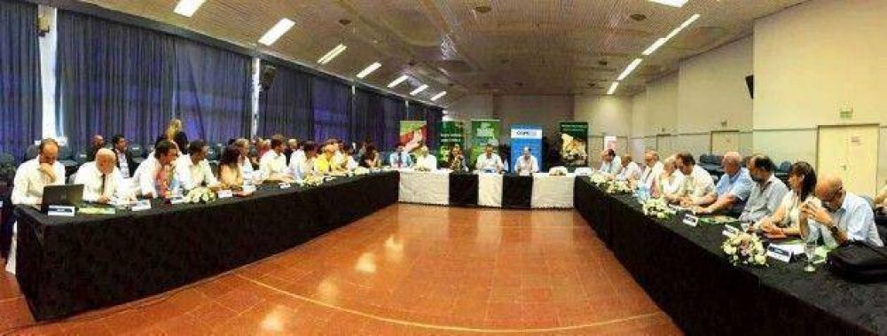 San Luis coordinar� la regi�n Cuyo del COFEMA