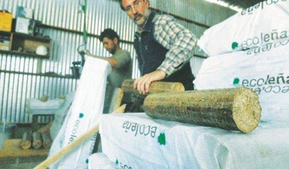 Capital busca poner en marcha su propia planta generadora de energ�a