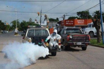 Mandan a analizar muestras de tres personas de Trenque Lauquen que presentaron s�ntomas similares al Dengue