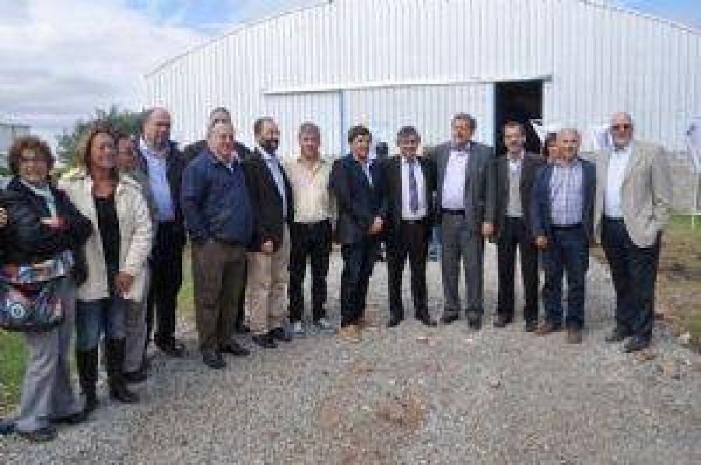 �Este acomodamiento nos pega, pero veremos los resultados en el segundo semestre del a�o�