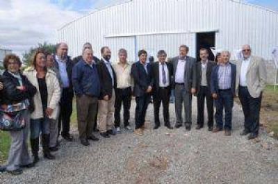 �Este acomodamiento nos pega, pero veremos los resultados en el segundo semestre del a�o�
