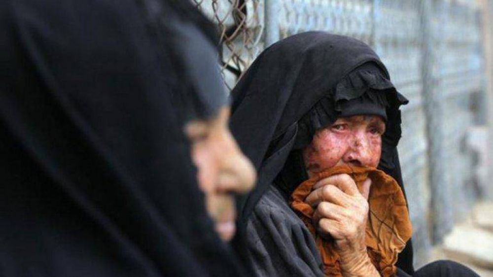 M�s de 60.000 personas se alimentan de plantas para sobrevivir en Irak