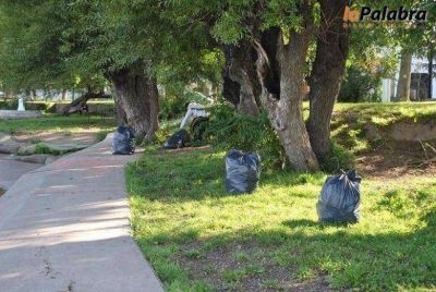 Realizan trabajos de limpieza en distintos puntos de la ciudad