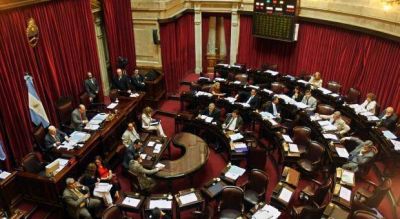 El Senado empezar� a discutir ley para que funcionarios publiquen sus declaraciones juradas