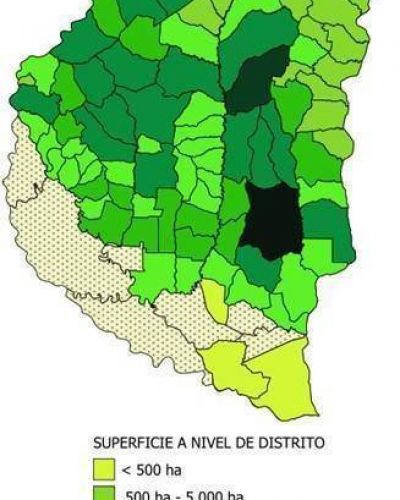 Disminuy� un dos por ciento el �rea implantada con soja en la provincia de Entre R�os 